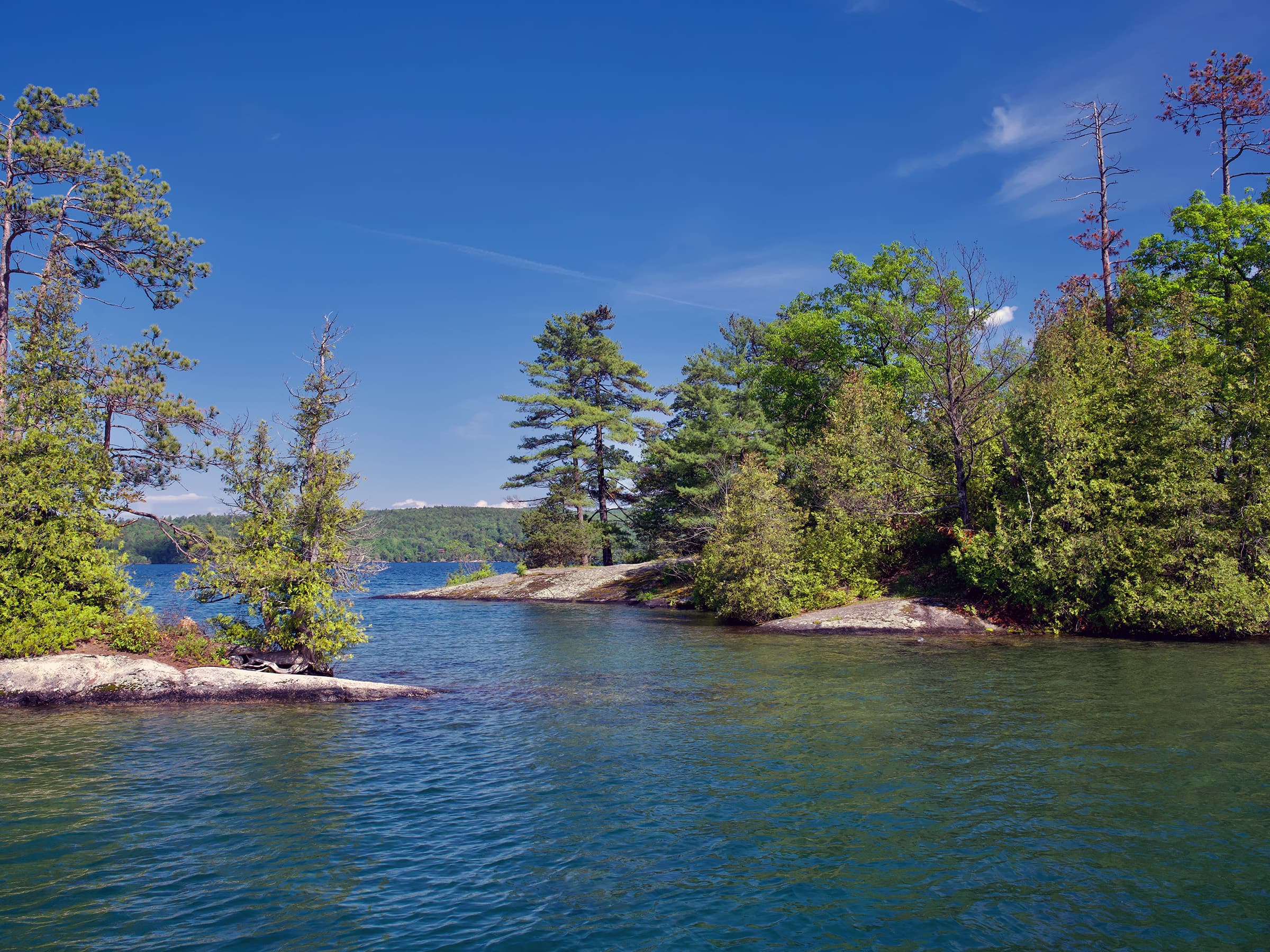 Clear blue-green water in a sheltered cove framed by pine-covered points