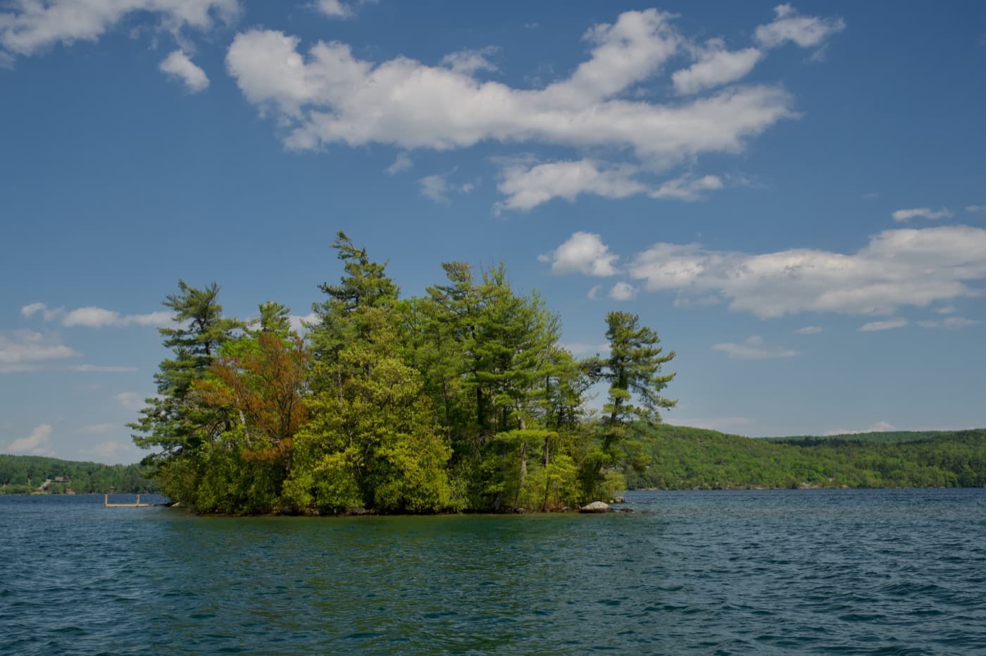 A small tree-covered island